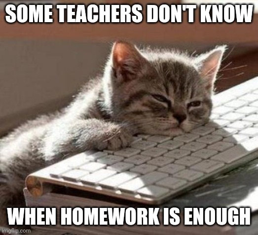 tired cat | SOME TEACHERS DON'T KNOW; WHEN HOMEWORK IS ENOUGH | image tagged in tired cat | made w/ Imgflip meme maker