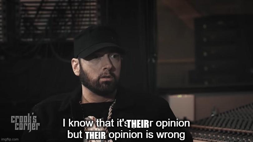 I know that it's your opinion, but your opinion is wrong | THEIR THEIR | image tagged in i know that it's your opinion but your opinion is wrong | made w/ Imgflip meme maker