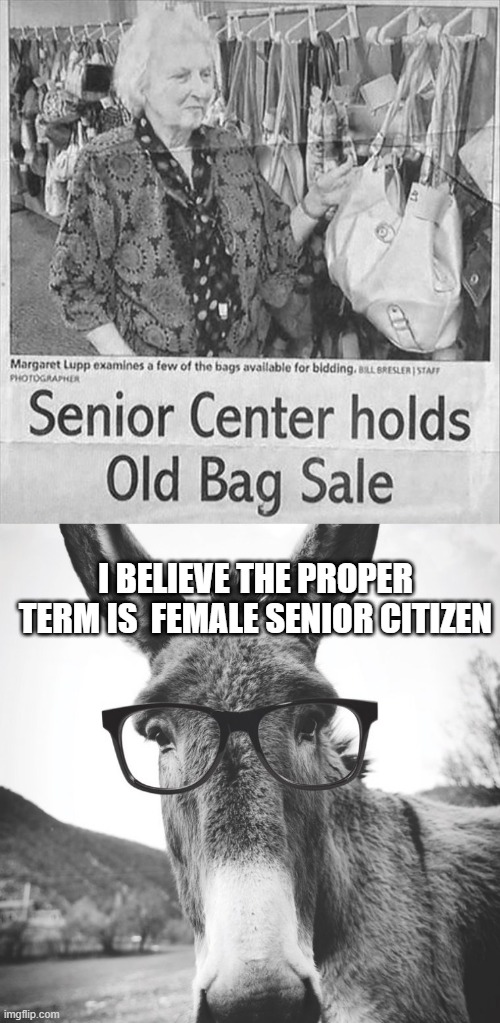 Old Bag | I BELIEVE THE PROPER TERM IS  FEMALE SENIOR CITIZEN | image tagged in smart ass | made w/ Imgflip meme maker