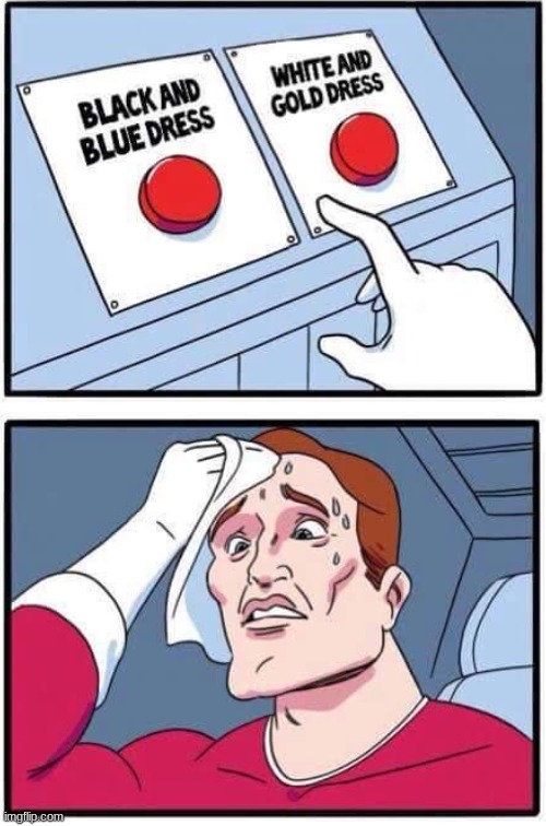 I found the ORIGINAL two buttons template | made w/ Imgflip meme maker