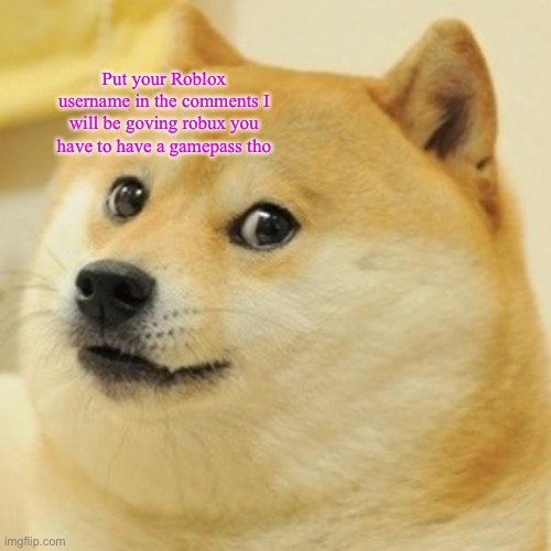 Doge Meme | Put your Roblox username in the comments I will be goving robux you have to have a gamepass tho | image tagged in memes,doge | made w/ Imgflip meme maker