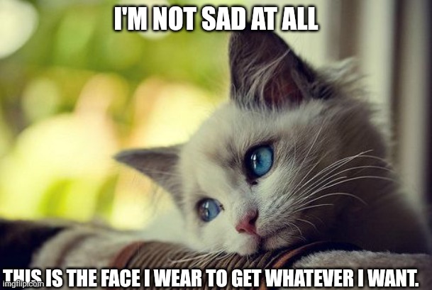 Strategy |  I'M NOT SAD AT ALL; THIS IS THE FACE I WEAR TO GET WHATEVER I WANT. | image tagged in memes,first world problems cat | made w/ Imgflip meme maker