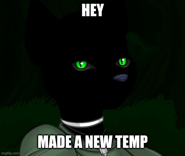 My new panther fursona | HEY; MADE A NEW TEMP | image tagged in my new panther fursona | made w/ Imgflip meme maker