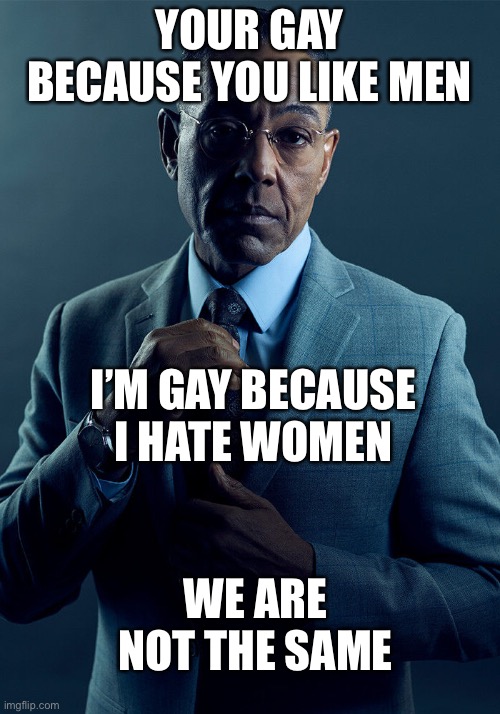 We are not the same | YOUR GAY BECAUSE YOU LIKE MEN; I’M GAY BECAUSE I HATE WOMEN; WE ARE NOT THE SAME | image tagged in gus fring we are not the same | made w/ Imgflip meme maker