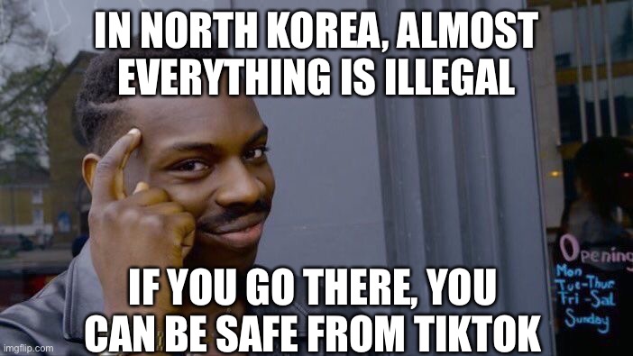 Daily disturbing fact (it is, when you think about it. It’s also illegal to deport yourself as an escape) |  IN NORTH KOREA, ALMOST EVERYTHING IS ILLEGAL; IF YOU GO THERE, YOU CAN BE SAFE FROM TIKTOK | image tagged in memes,roll safe think about it,disturbing,daily,funny,relatable memes | made w/ Imgflip meme maker