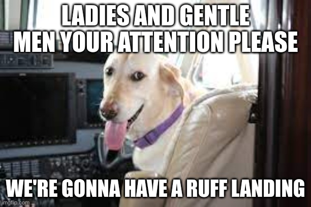dog gun |  LADIES AND GENTLE MEN YOUR ATTENTION PLEASE; WE'RE GONNA HAVE A RUFF LANDING | image tagged in pupper,airplane | made w/ Imgflip meme maker