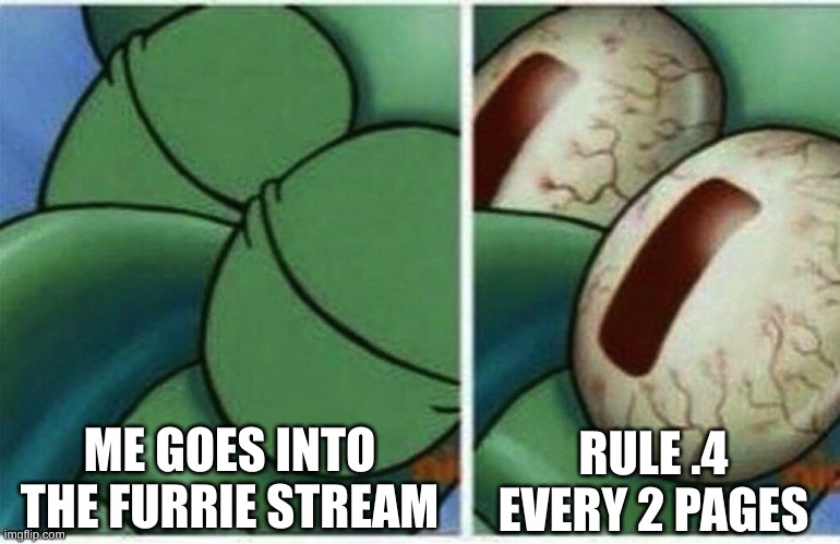 i do not hate furrys i hate people who make rule .4 | ME GOES INTO THE FURRIE STREAM; RULE .4 EVERY 2 PAGES | image tagged in squidward | made w/ Imgflip meme maker