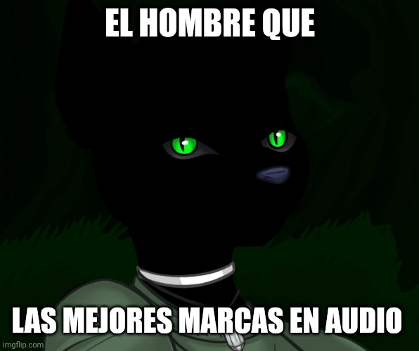 My new panther fursona | EL HOMBRE QUE; LAS MEJORES MARCAS EN AUDIO | image tagged in my new panther fursona | made w/ Imgflip meme maker