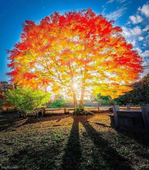 Let The Sunshine In Imgflip