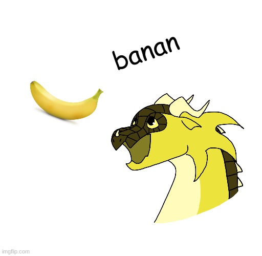 banan the rainwing | banan | made w/ Imgflip meme maker