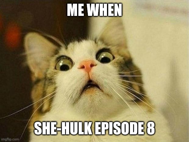 OH GOD NO | ME WHEN; SHE-HULK EPISODE 8 | image tagged in memes,scared cat | made w/ Imgflip meme maker