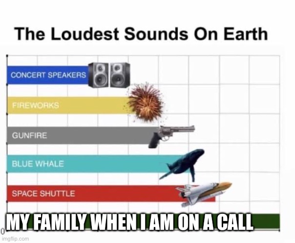 My family be like | MY FAMILY WHEN I AM ON A CALL | image tagged in the loudest sounds on earth,my family be like | made w/ Imgflip meme maker