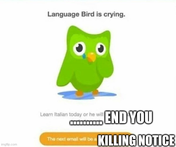 duolingo owl when you don't pratice italian. | .......... END YOU; KILLING NOTICE | image tagged in duolingo bird | made w/ Imgflip meme maker