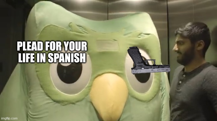 Duolingo plush | PLEAD FOR YOUR LIFE IN SPANISH | image tagged in duolingo plush | made w/ Imgflip meme maker