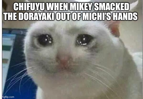 crying cat | CHIFUYU WHEN MIKEY SMACKED THE DORAYAKI OUT OF MICHI’S HANDS | image tagged in crying cat | made w/ Imgflip meme maker