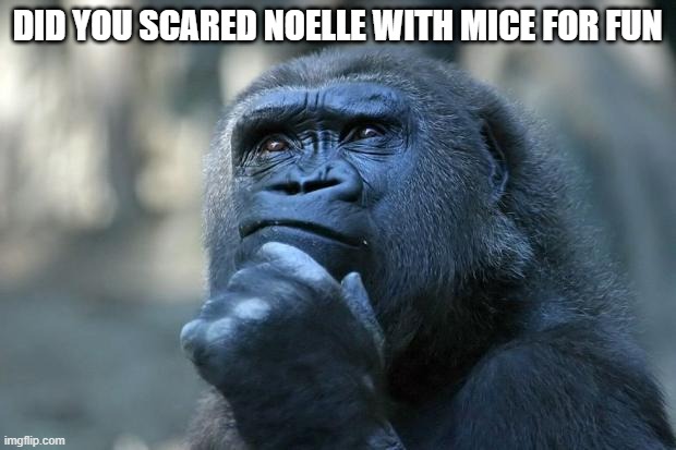 lol | DID YOU SCARED NOELLE WITH MICE FOR FUN | image tagged in deep thoughts | made w/ Imgflip meme maker