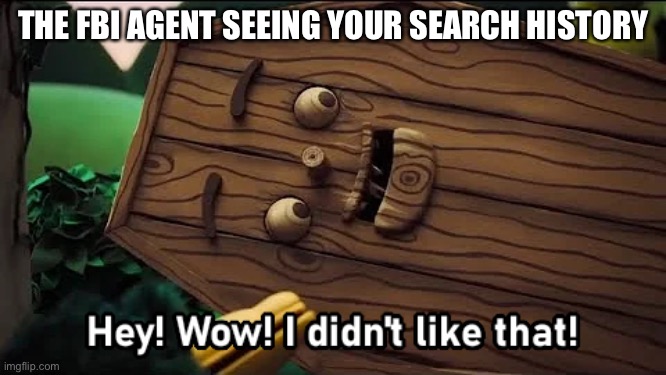 What are you doing bro ? |  THE FBI AGENT SEEING YOUR SEARCH HISTORY | image tagged in hey wow i didn't like that,dhmis | made w/ Imgflip meme maker