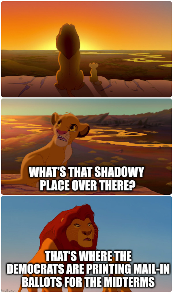 That Shadowy Place Where Mail-in Ballots Are Printed | image tagged in biden,democrats,election fraud,midterms,lion king | made w/ Imgflip meme maker