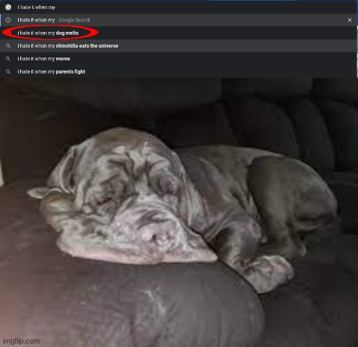why my dog melting boi | image tagged in melting dog | made w/ Imgflip meme maker