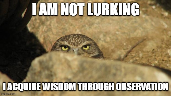 Not Lurking, Wisdom through observation |  I AM NOT LURKING; I ACQUIRE WISDOM THROUGH OBSERVATION | image tagged in lurking,wisdom,observe | made w/ Imgflip meme maker