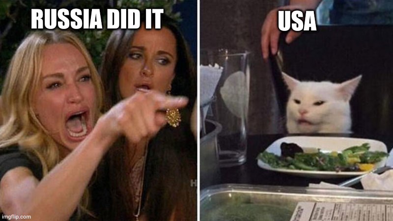 Woman yelling at white cat | USA; RUSSIA DID IT | image tagged in woman yelling at white cat | made w/ Imgflip meme maker