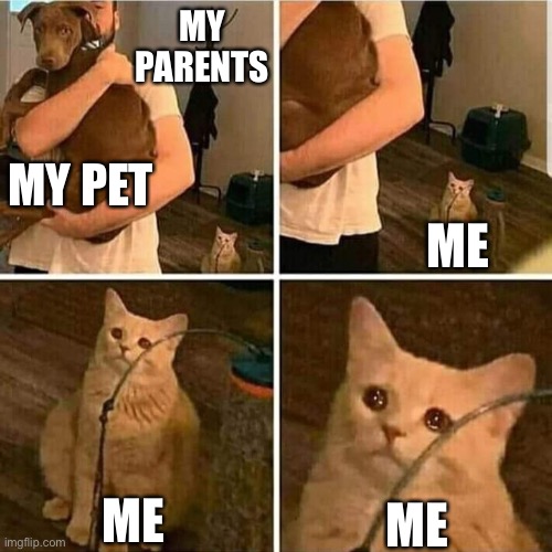 HE IS STEALING MY POPULARITY | MY PARENTS; MY PET; ME; ME; ME | image tagged in sad cat holding dog | made w/ Imgflip meme maker