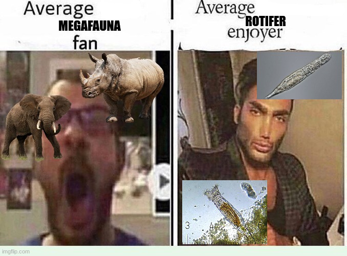 /j like what you wanna like (last meme before hunger games | ROTIFER; MEGAFAUNA | made w/ Imgflip meme maker