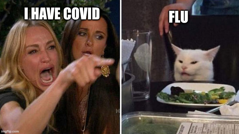 Woman yelling at white cat | FLU; I HAVE COVID | image tagged in woman yelling at white cat | made w/ Imgflip meme maker