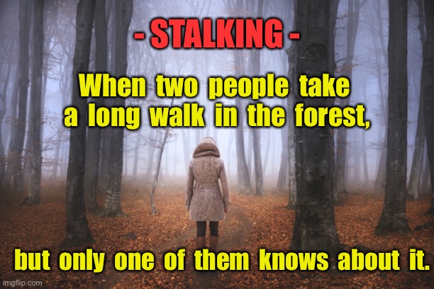 Stalking | - STALKING -; When  two  people  take  a  long  walk  in  the  forest, but  only  one  of  them  knows  about  it. | image tagged in you are being watched,two go,for walk,one knows,dark humour | made w/ Imgflip meme maker