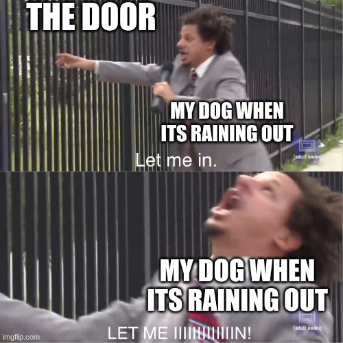 let me in | THE DOOR; MY DOG WHEN ITS RAINING OUT; MY DOG WHEN ITS RAINING OUT | image tagged in let me in | made w/ Imgflip meme maker