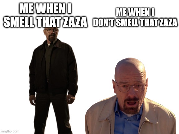 ME WHEN I DON'T SMELL THAT ZAZA; ME WHEN I SMELL THAT ZAZA | image tagged in blank nut button,dairy queen | made w/ Imgflip meme maker