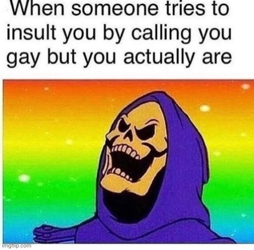 Them:gay me:correct | made w/ Imgflip meme maker