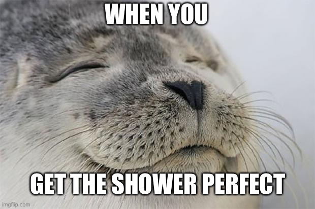 Satisfied Seal Meme | WHEN YOU; GET THE SHOWER PERFECT | image tagged in memes,satisfied seal | made w/ Imgflip meme maker