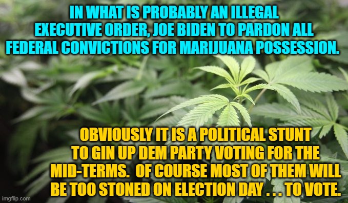 Stoners for Biden!  Sort of has a nice ring to it, eh? | IN WHAT IS PROBABLY AN ILLEGAL EXECUTIVE ORDER, JOE BIDEN TO PARDON ALL FEDERAL CONVICTIONS FOR MARIJUANA POSSESSION. OBVIOUSLY IT IS A POLITICAL STUNT TO GIN UP DEM PARTY VOTING FOR THE MID-TERMS.  OF COURSE MOST OF THEM WILL BE TOO STONED ON ELECTION DAY . . . TO VOTE. | image tagged in stoners | made w/ Imgflip meme maker