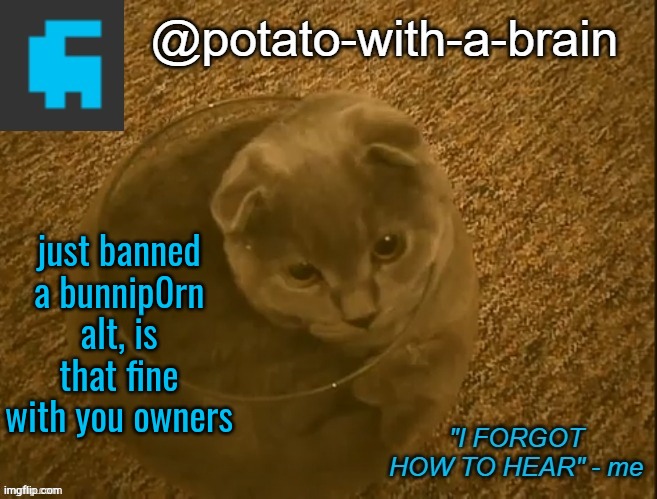 just banned a bunnip0rn alt, is that fine with you owners | image tagged in potato-with-a-brain announcement template thx jade_harley | made w/ Imgflip meme maker