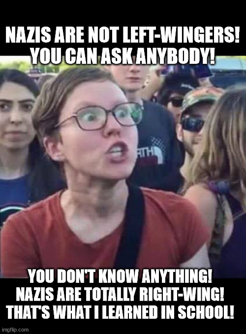 How DARE you... | NAZIS ARE NOT LEFT-WINGERS!
YOU CAN ASK ANYBODY! YOU DON'T KNOW ANYTHING!
NAZIS ARE TOTALLY RIGHT-WING!
THAT'S WHAT I LEARNED IN SCHOOL! | image tagged in angry liberal | made w/ Imgflip meme maker