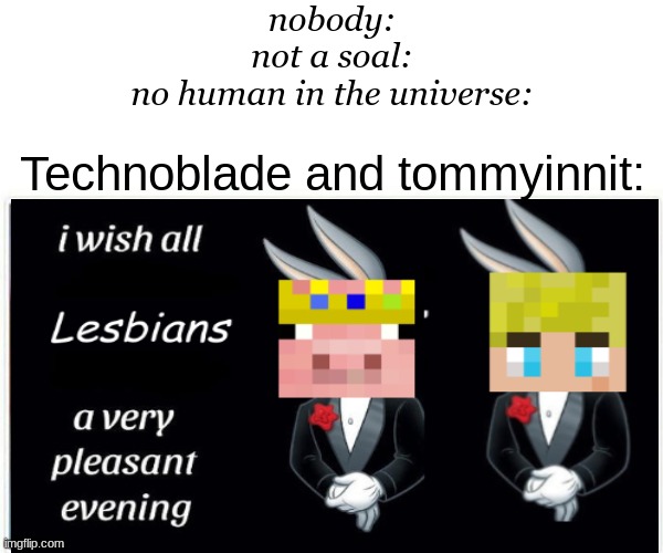 Yes | nobody:
not a soal:
no human in the universe:; Technoblade and tommyinnit: | image tagged in funny | made w/ Imgflip meme maker