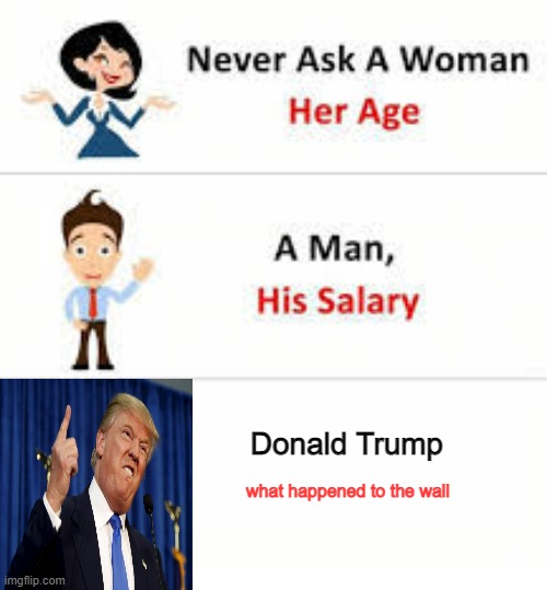 what happened donald | Donald Trump; what happened to the wall | image tagged in never ask a woman her age | made w/ Imgflip meme maker