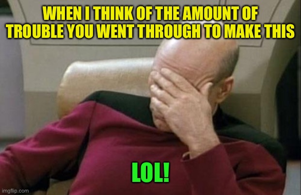 Captain Picard Facepalm Meme | WHEN I THINK OF THE AMOUNT OF TROUBLE YOU WENT THROUGH TO MAKE THIS LOL! | image tagged in memes,captain picard facepalm | made w/ Imgflip meme maker