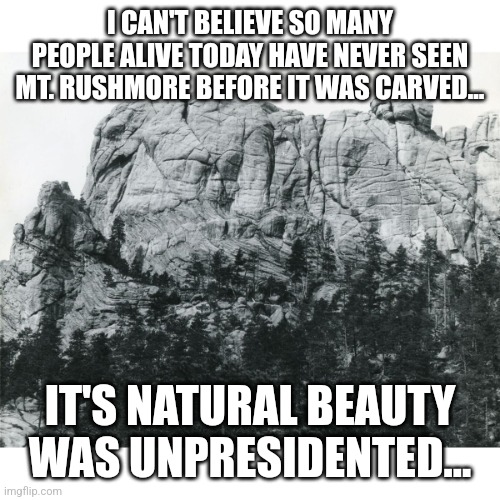 So true |  I CAN'T BELIEVE SO MANY PEOPLE ALIVE TODAY HAVE NEVER SEEN MT. RUSHMORE BEFORE IT WAS CARVED... IT'S NATURAL BEAUTY WAS UNPRESIDENTED... | image tagged in fun,memes,dad joke | made w/ Imgflip meme maker