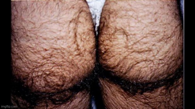 hairy ass | image tagged in hairy ass | made w/ Imgflip meme maker
