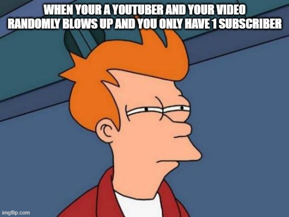 Futurama Fry | WHEN YOUR A YOUTUBER AND YOUR VIDEO RANDOMLY BLOWS UP AND YOU ONLY HAVE 1 SUBSCRIBER | image tagged in memes,futurama fry,funny memes,youtubers | made w/ Imgflip meme maker