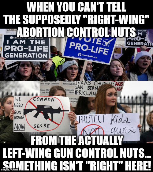 One of these things is just like the other... | WHEN YOU CAN'T TELL
THE SUPPOSEDLY "RIGHT-WING"
ABORTION CONTROL NUTS; FROM THE ACTUALLY
LEFT-WING GUN CONTROL NUTS...
SOMETHING ISN'T "RIGHT" HERE! | image tagged in abortion control is like gun control | made w/ Imgflip meme maker