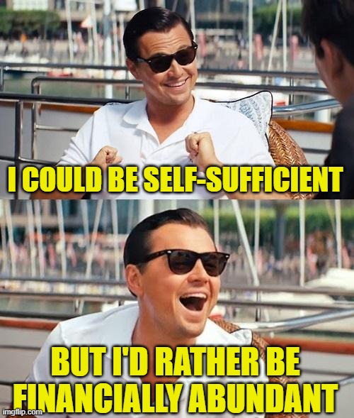 Financially Abundant Leo | I COULD BE SELF-SUFFICIENT; BUT I'D RATHER BE FINANCIALLY ABUNDANT | image tagged in memes,leonardo dicaprio wolf of wall street,money,make money,capitalism,so true memes | made w/ Imgflip meme maker