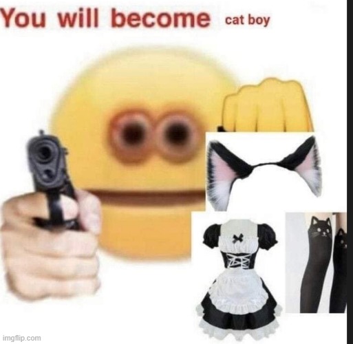 Do what he says | image tagged in femboy,cats | made w/ Imgflip meme maker