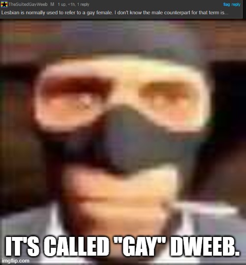 LGBT mfs getting dumber by the day | IT'S CALLED "GAY" DWEEB. | image tagged in spi | made w/ Imgflip meme maker