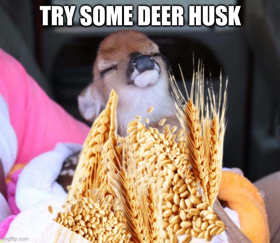 Deer husk | TRY SOME DEER HUSK | made w/ Imgflip meme maker