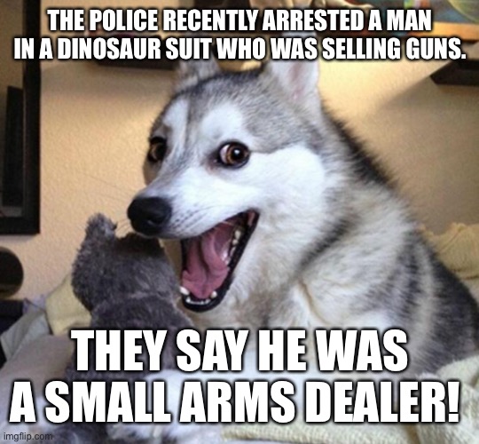 ??? | THE POLICE RECENTLY ARRESTED A MAN IN A DINOSAUR SUIT WHO WAS SELLING GUNS. THEY SAY HE WAS A SMALL ARMS DEALER! | image tagged in laughing husky,popo,small,arms | made w/ Imgflip meme maker