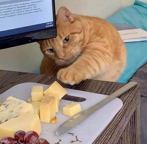 Just a cheesy cat ^w^ | image tagged in cat reaching cheese | made w/ Imgflip meme maker