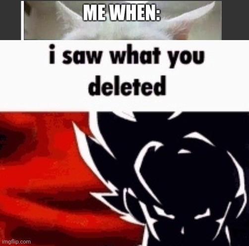 i saw what you deleted | image tagged in i saw what you deleted | made w/ Imgflip meme maker